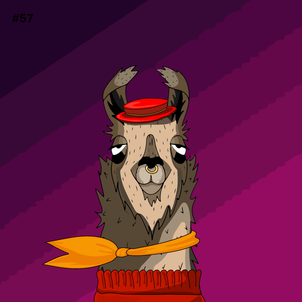 crypto llama