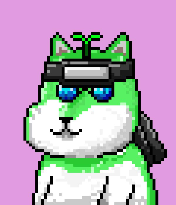 POKI DOG151 POKI DOG OpenSea